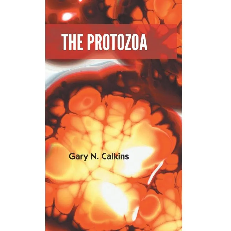 The Protozoa