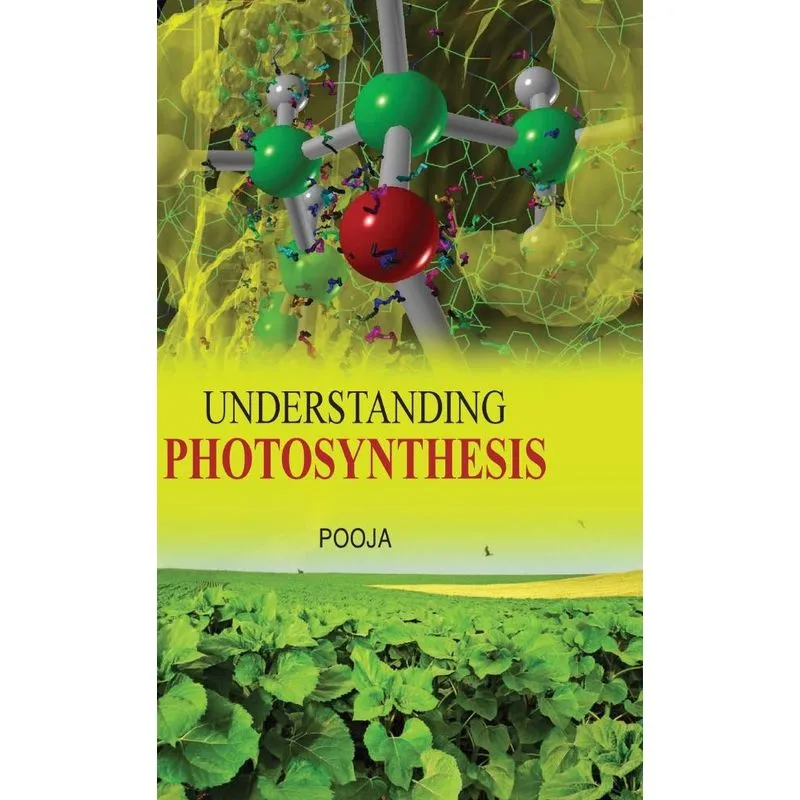 UNDERSTANDING PHOTOSYNTHESIS