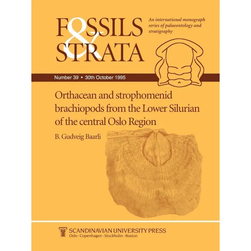 Fossils and Strata, Orthacean and Strophomenid Brachiopods