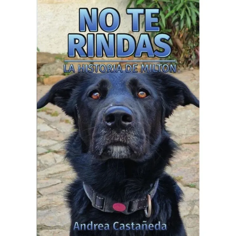 No te rindas - Espanhol
