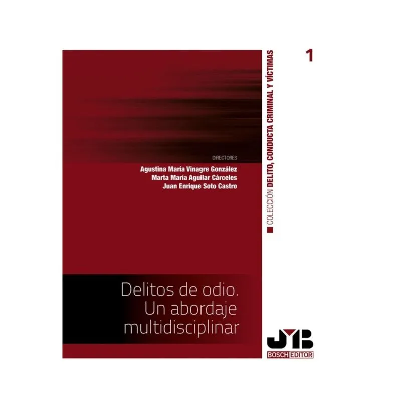 Delitos de odio. Un abordaje multidisciplinar - Espanhol