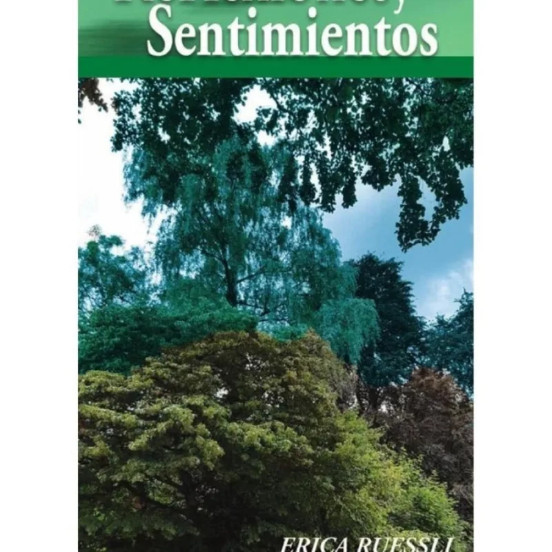 Reflexiones y Sentimientos - Espanhol