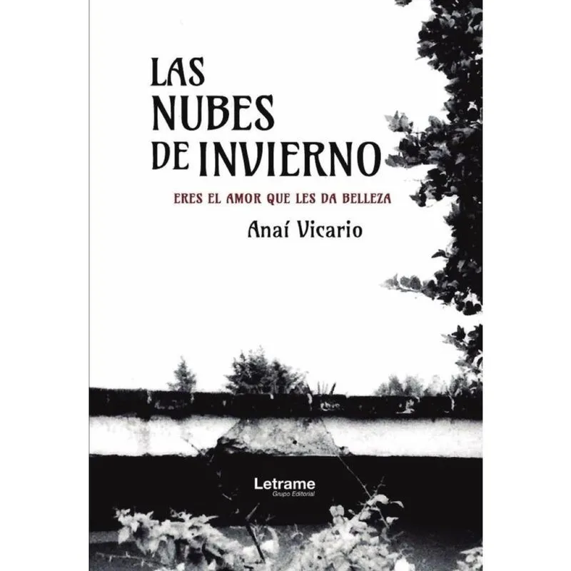 Las nubes de invierno - Espanhol