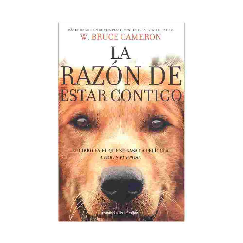 La Razon De Estar Contigo