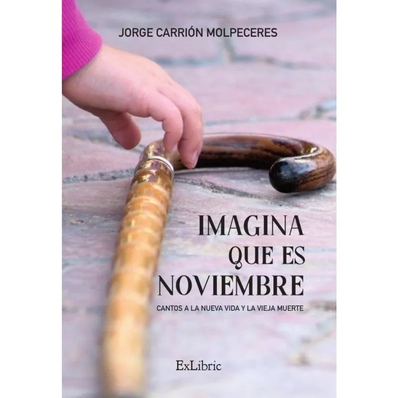 Imagina que es noviembre - Espanhol
