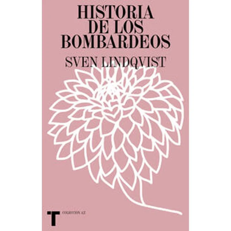 Historia de los bombardeos