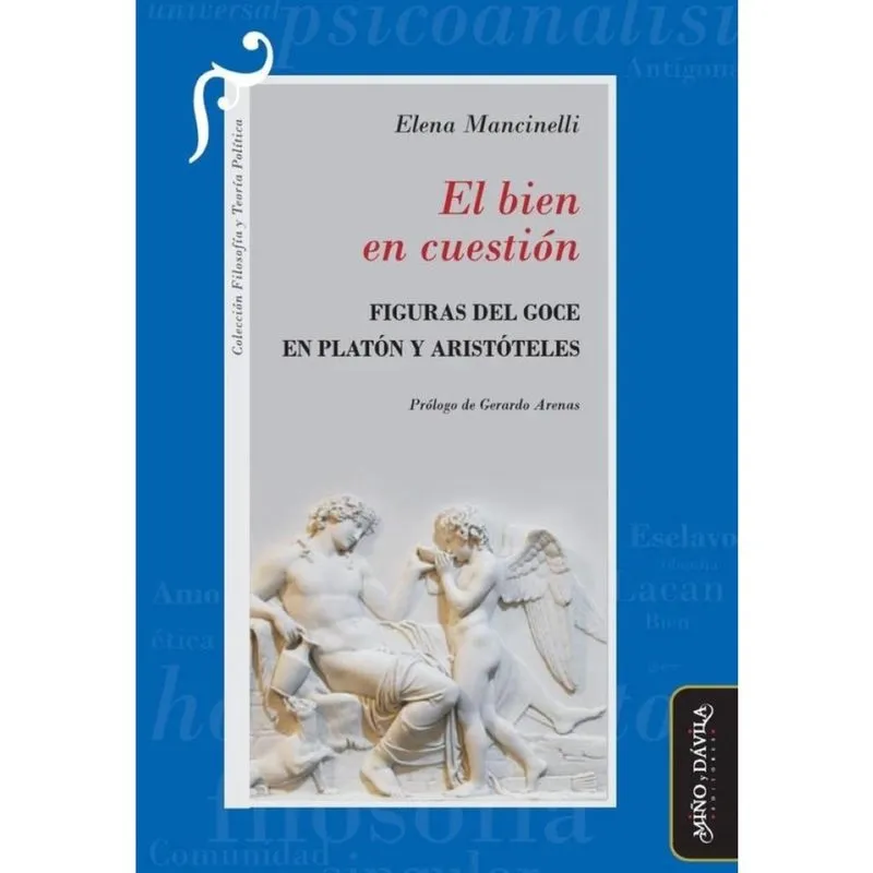 El bien en cuestión - Espanhol