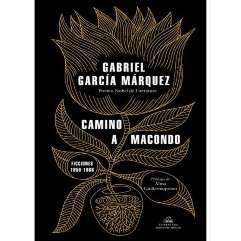 CAMINO A MACONDO