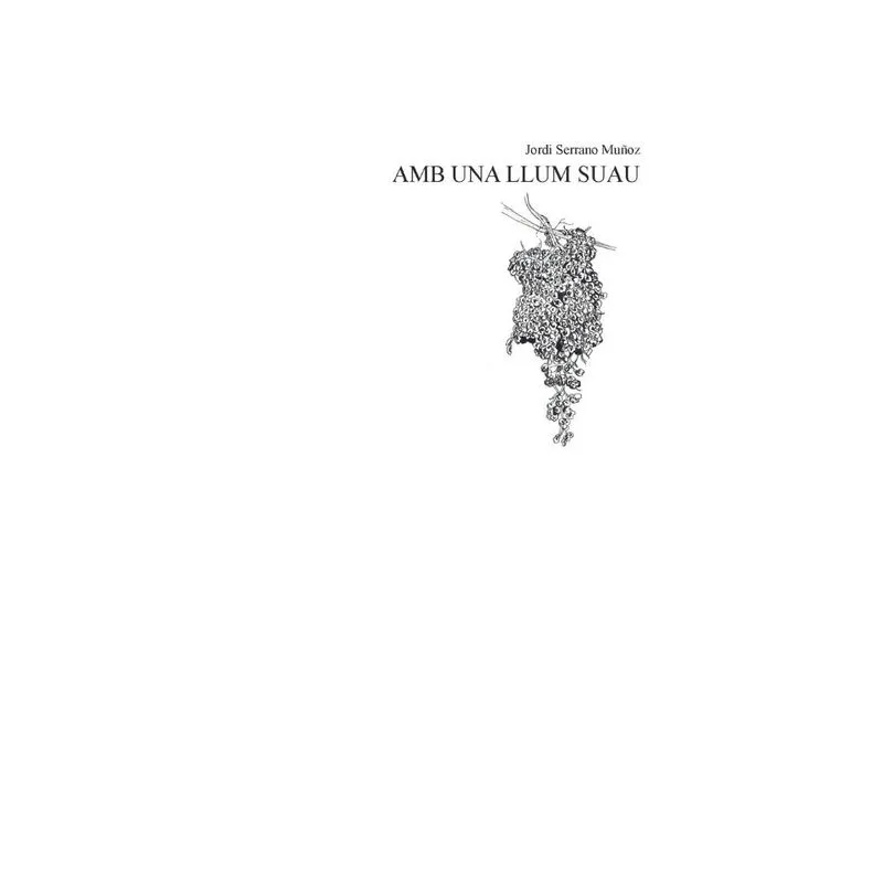 Amb una llum suau