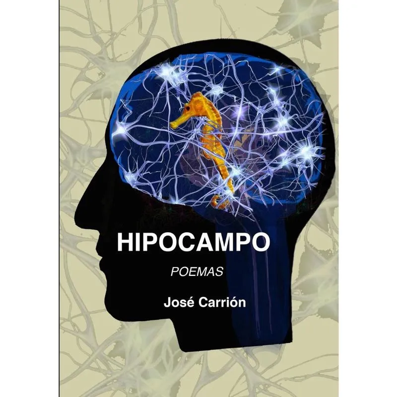 Hipocampo