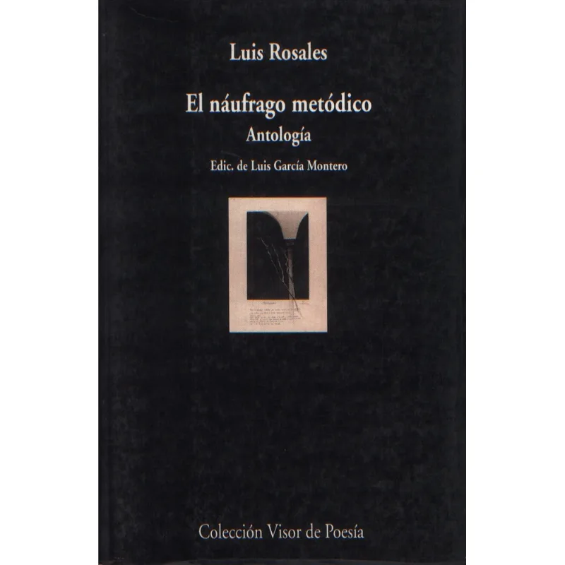 El naufrago metodico. Antologia El náufrago metódico. Antología