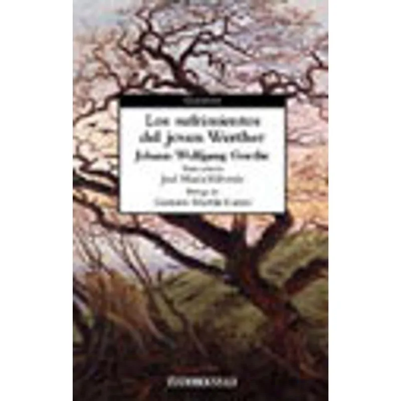 SUFRIMIENTOS DEL JOVEN WERTHER, LOS