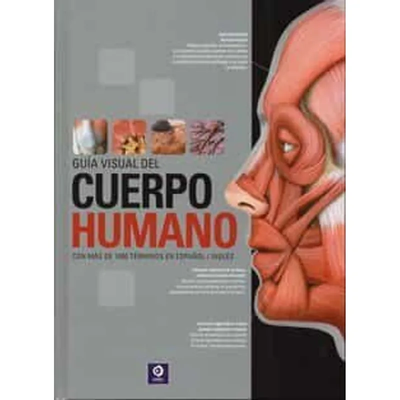 Guía Visual del Cuerpo Humano: Términos en Español / Inglés Guía Visual Del Cuerpo Humano: Términos En Español / Ingles
