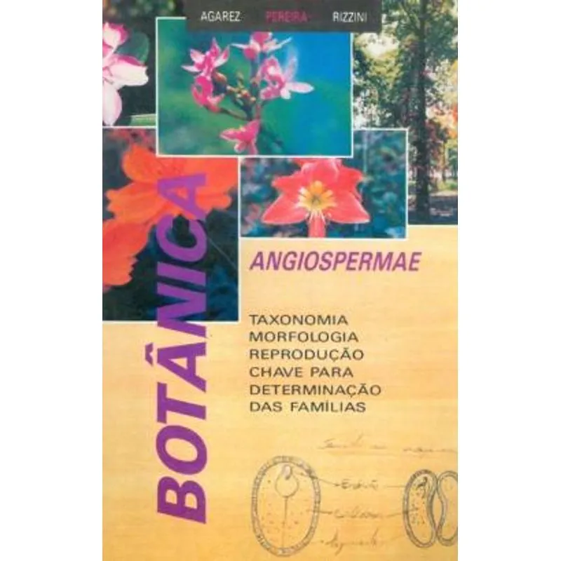 BOTANICA - ANGIOSPERMAE