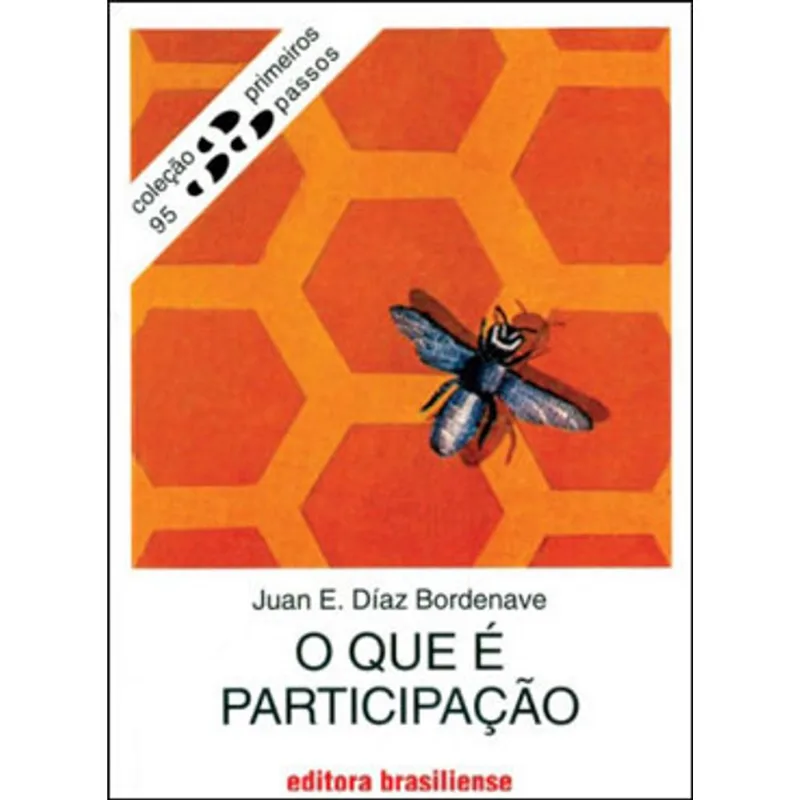 O QUE É PARTICIPAÇÃO
