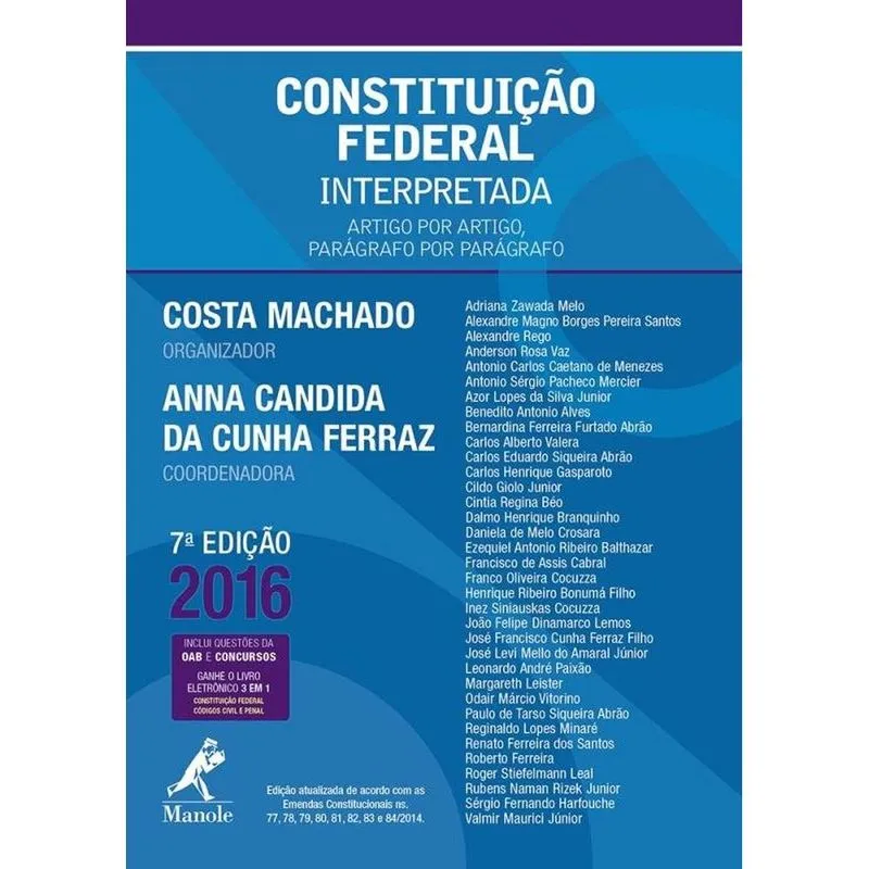 Constituição federal interpretada