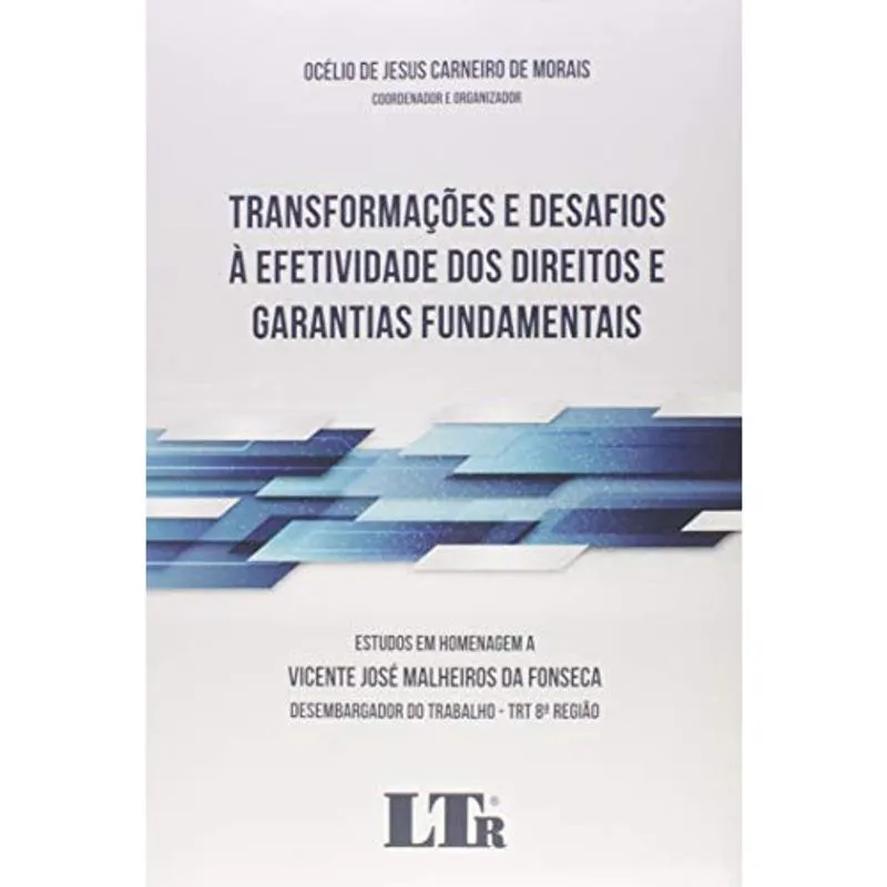 Transformações E Desafios à Efetividade Dos Direitos E Garantias Fundamentais