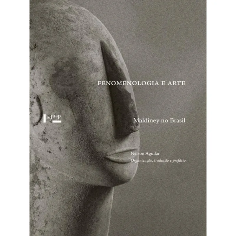 FENOMENOLOGIA E ARTE