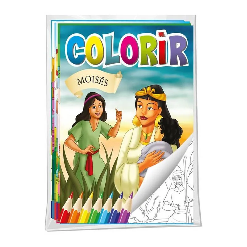 Livro Infantil Ilustrado Biblia Solapa Pequeno Pacote com 08