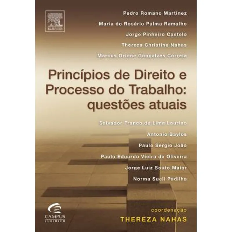 PRINCIPIOS DE DIREITO E PROCESSO DO TRABALHO - QUESTOES ATUAIS