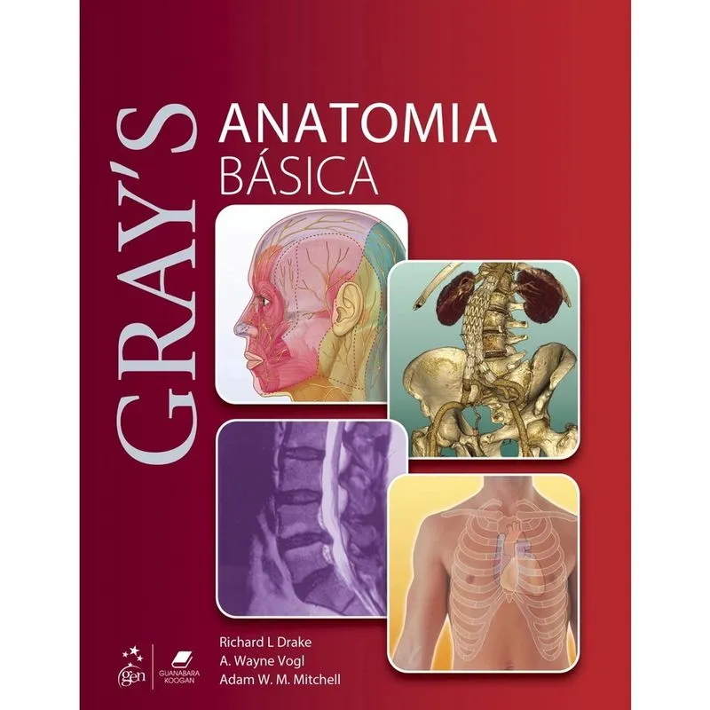 Gray´S Anatomia Básica - 1º Ed Livro - Gray's Anatomia Básica