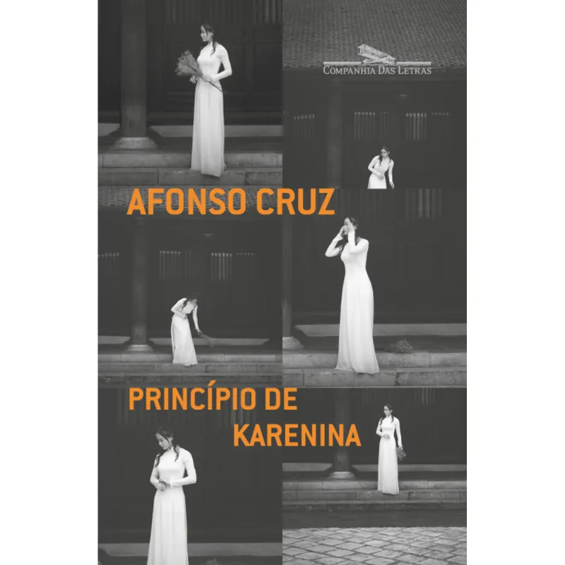 Princípio de Karenina