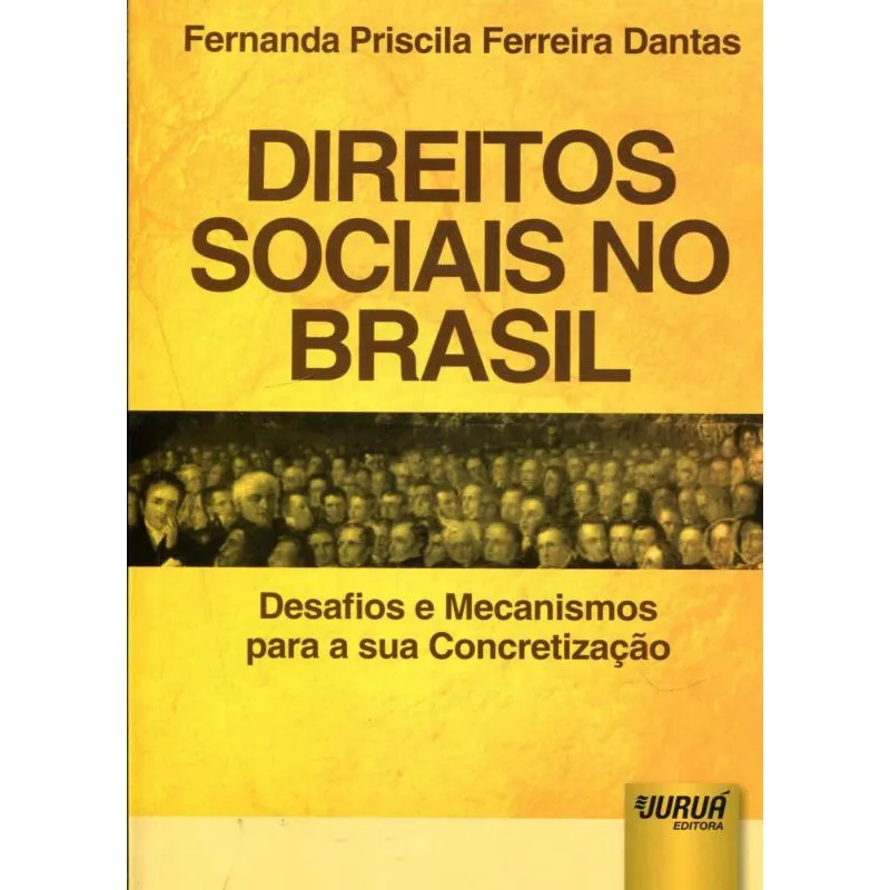 Direitos Sociais no Brasil Desafios e Mecanismos para a sua Concretização
