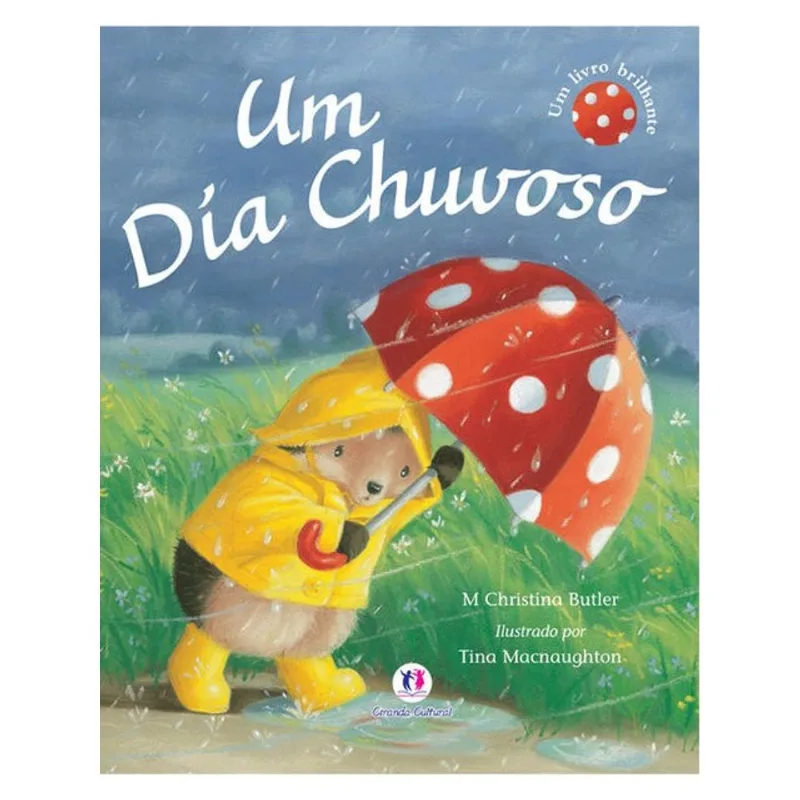 UM DIA CHUVOSO