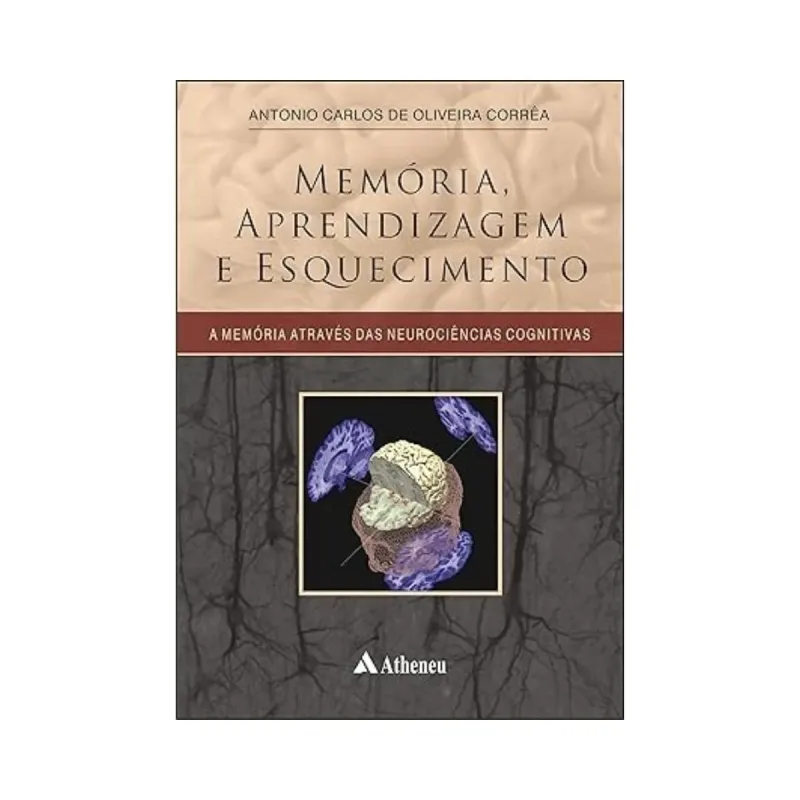 Memória, Aprendizagem E Esquecimento: A Memória Através Das Neurociências Cognitivas