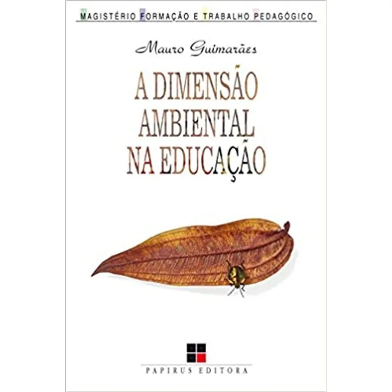 A DIMENSÃO AMBIENTAL NA EDUCAÇÃO