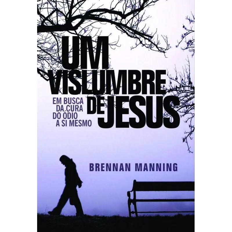 Um Vislumbre de Jesus Diversos