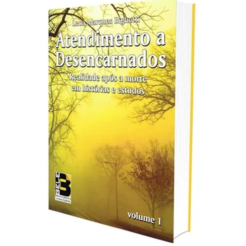 ATENDIMENTO A DESENCARNADOS - VOL. 1