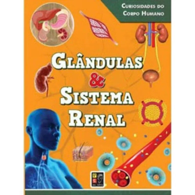 Curiosidades Do Corpo Humano Glandulas E Sistema R