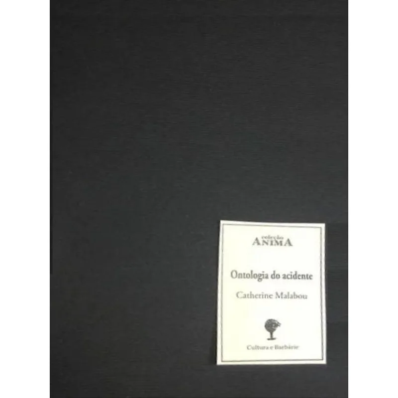 ONTOLOGIA DO ACIDENTE