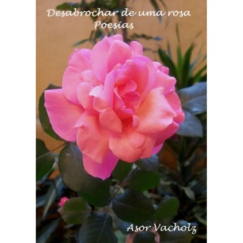 DESABROCHAR DE UMA ROSA - VOLUME I