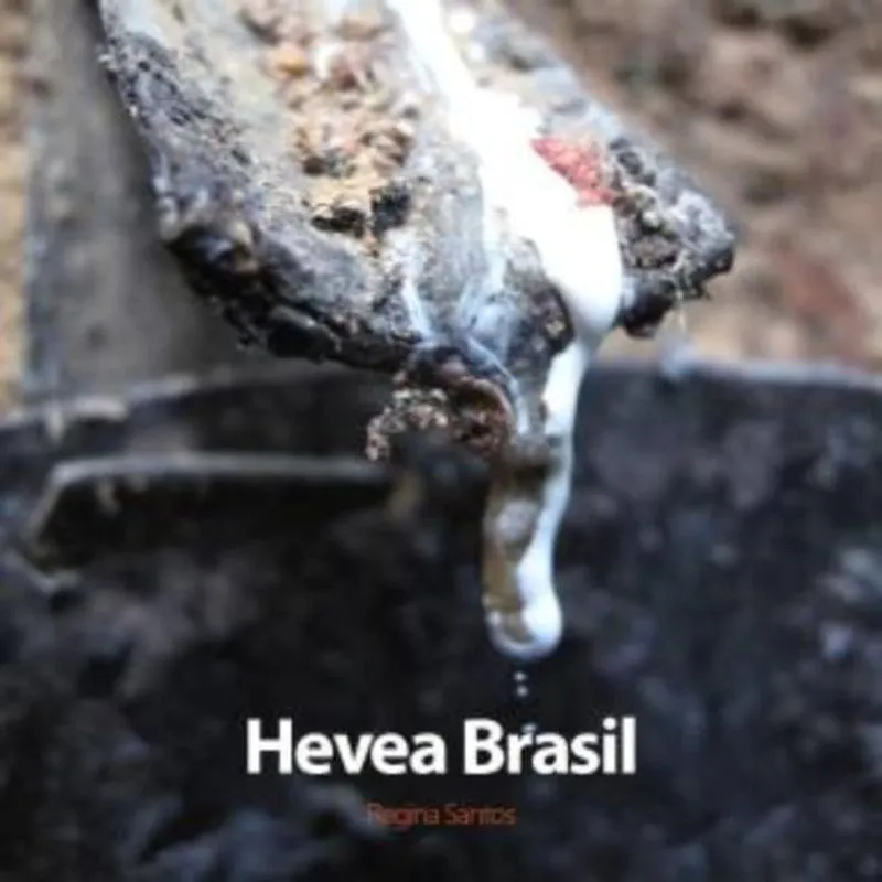 HEVEA BRASIL