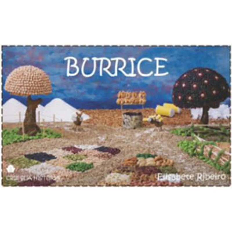BURRICE - COLEÇAO CRIE SUA HISTORIA