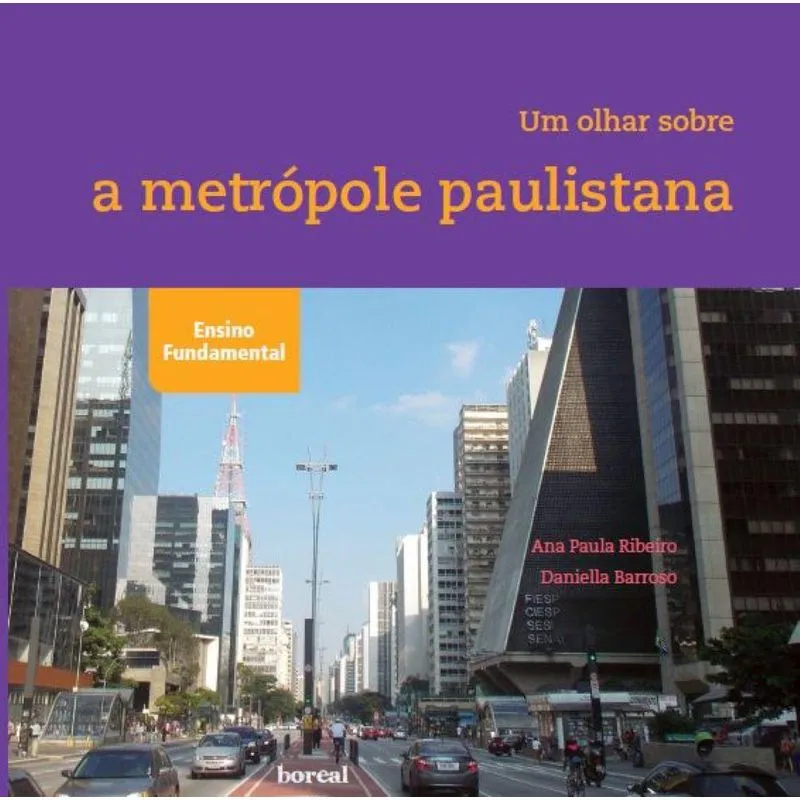Um Olhar Sobre A Metrópole Paulistana.