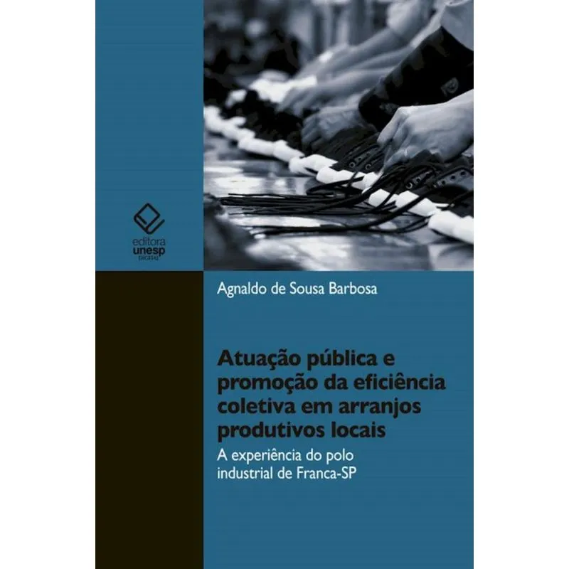 Atuação pública e promoção da eficiência coletiva em arranjos produtivos locais