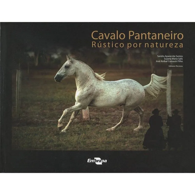 Cavalo pantaneiro