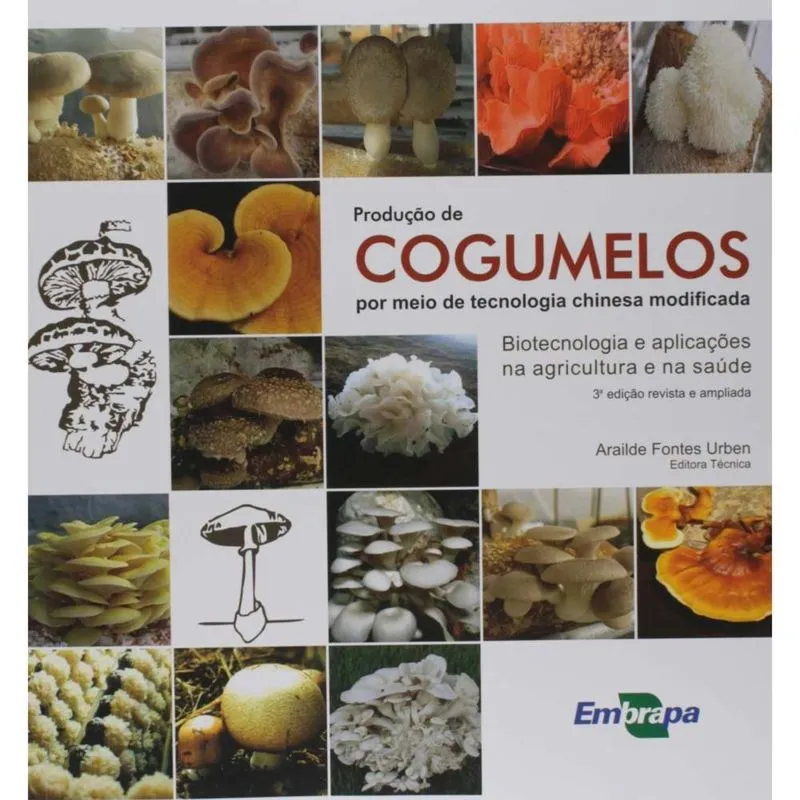 Produção de cogumelos por meio de tecnologia chinesa modificada