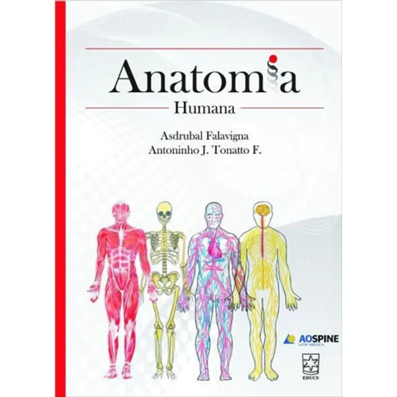 ANATOMIA HUMANA