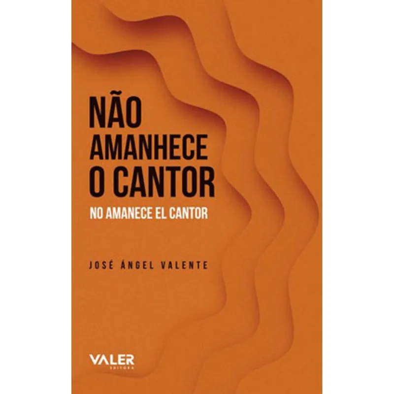 NÃO AMANHECE O CANTOR