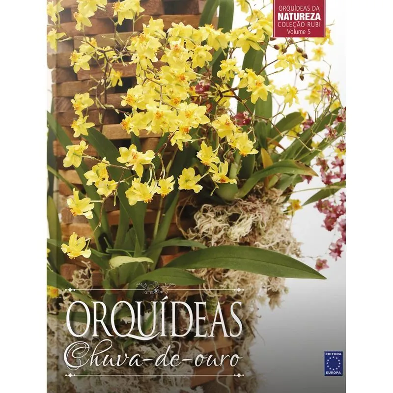 Orquídeas chuva-de-ouro