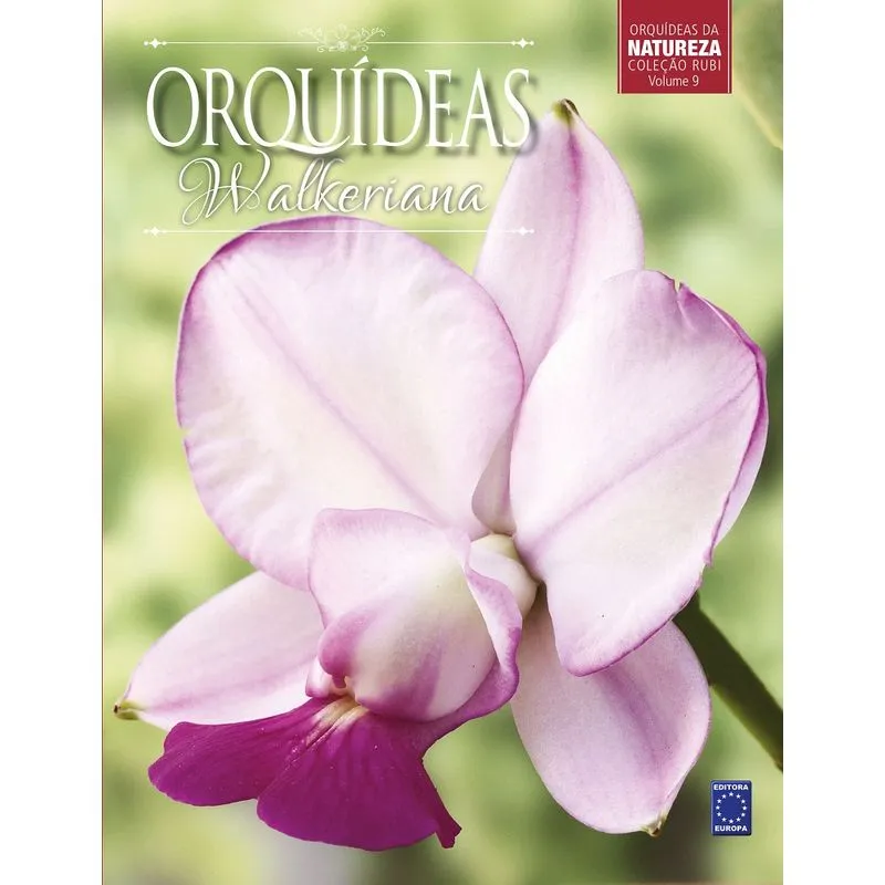 Orquídeas walkeriana