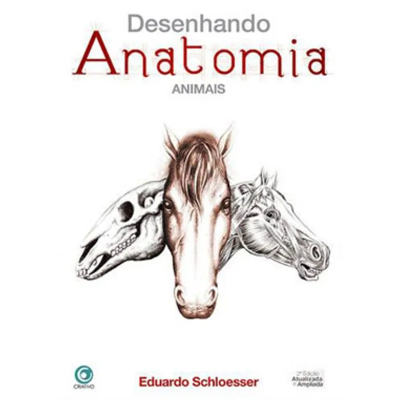 DESENHANDO ANATOMIA ANIMAIS