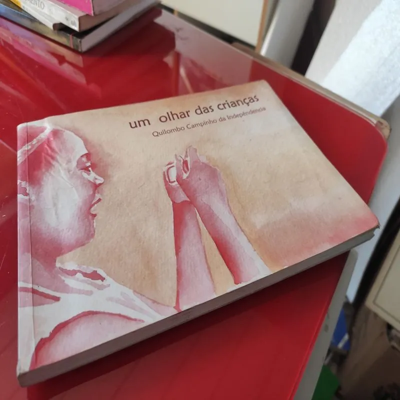 Um Olhar das Crianças do Campinho da Indepêndencia autor Carla Dias