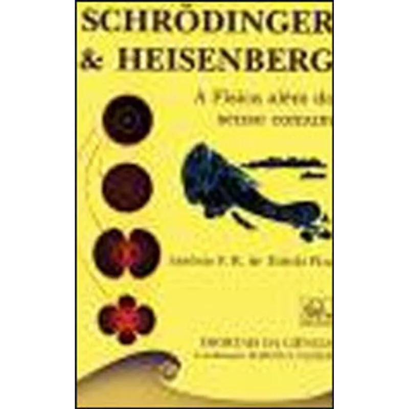 SCHRODINGER E HEISENBERG - FISICA ALEM DO SENSO COMUM