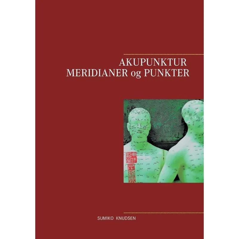 Akupunktur Meridianer og Punkter