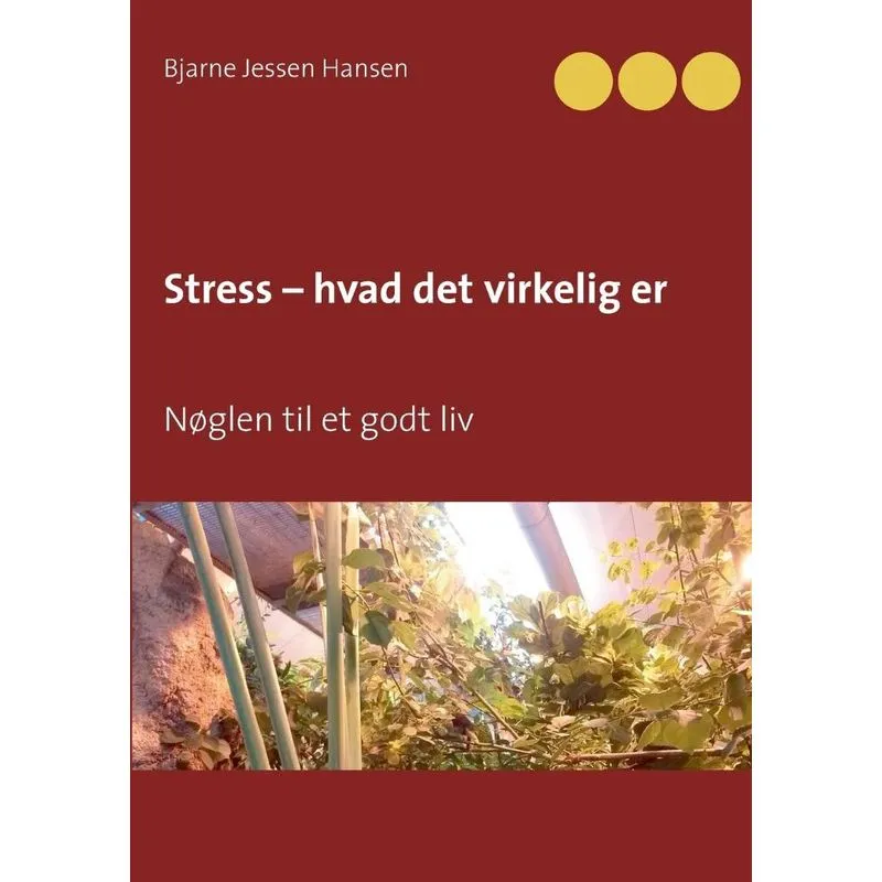 Stress - hvad det virkelig er